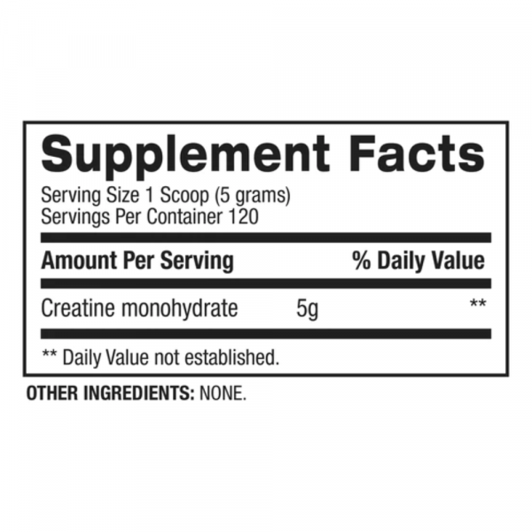 BPI CREATINE 600G