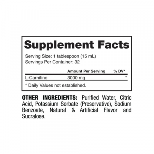 DRAGON L-Carnitine 3000