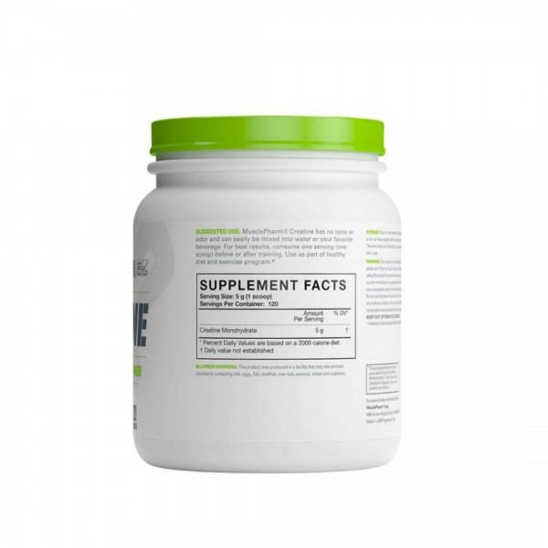 MP CREATINE ESSENTIALS 300G