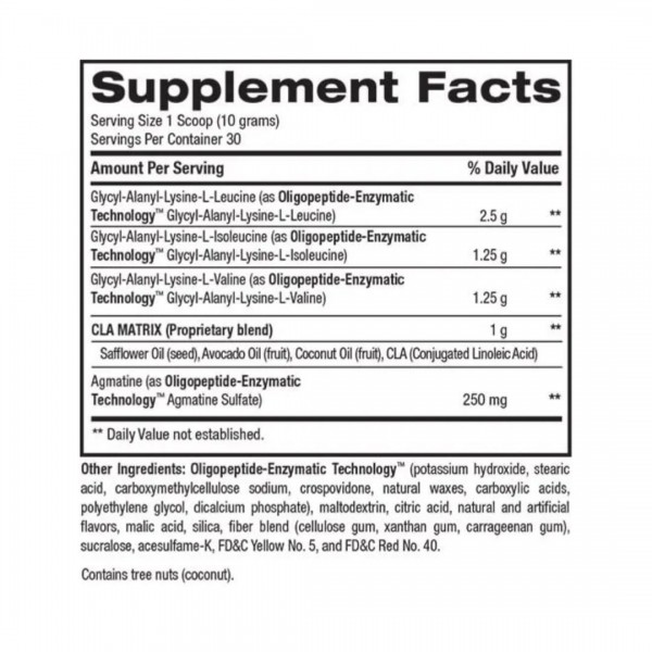 BEST BCAA 30 Servicios