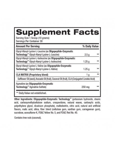 BEST BCAA 30 Servicios
