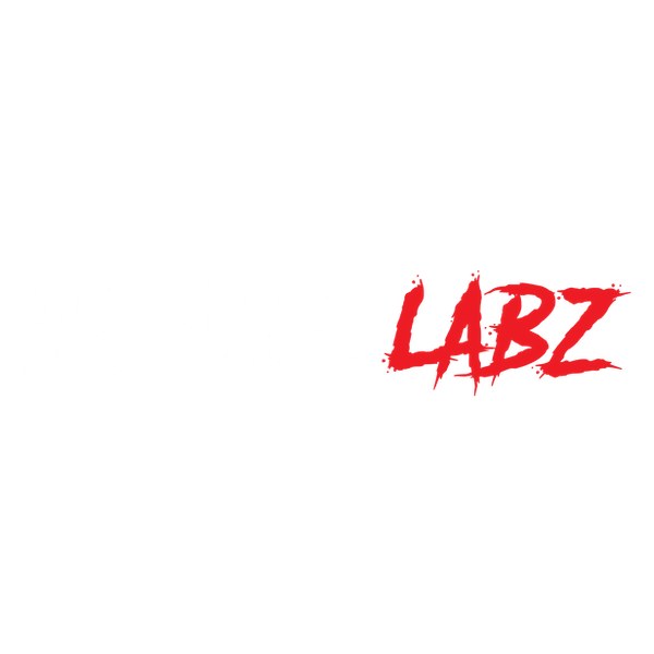 INSANE LABZ